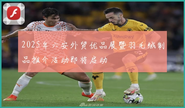 2025年六安外贸优品展暨羽毛绒制品推介活动即将启动