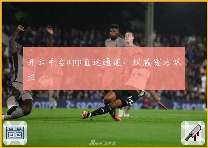 开云平台app直达通道，权威官方认证