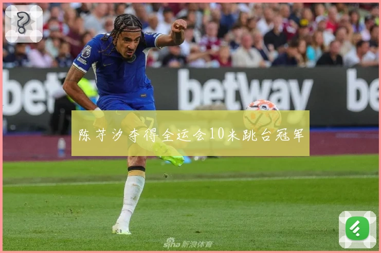 陈芋汐夺得全运会10米跳台冠军