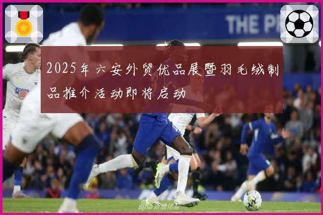 2025年六安外贸优品展暨羽毛绒制品推介活动即将启动